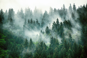 鹤山市是否成为江门的个区呢？