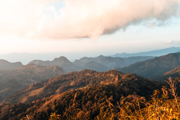 鹤山市是否成为江门的个区呢？